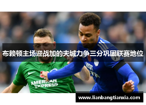 布赖顿主场迎战加的夫城力争三分巩固联赛地位