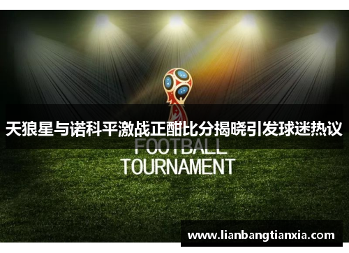 天狼星与诺科平激战正酣比分揭晓引发球迷热议